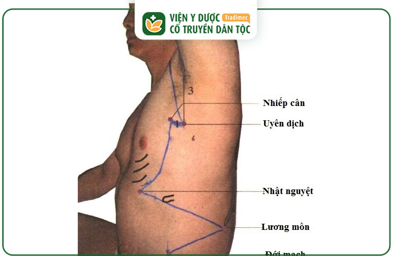 Vị trí của huyệt Uyên Dịch trên cơ thể