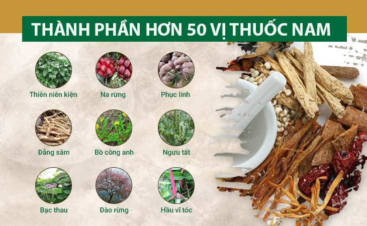 Thành phần gồm hơn 50 vị thuốc Nam