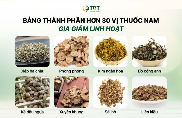 Một số vị thuốc chủ dược