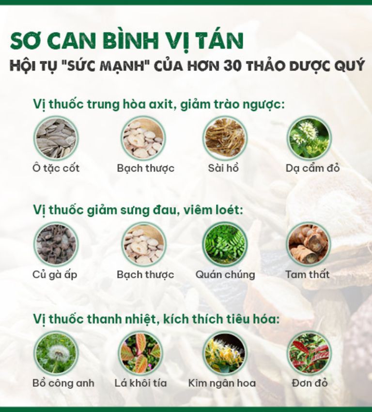 Hơn 30 vị thuốc trong bài thuốc chia thành các nhóm công dụng riêng biệt