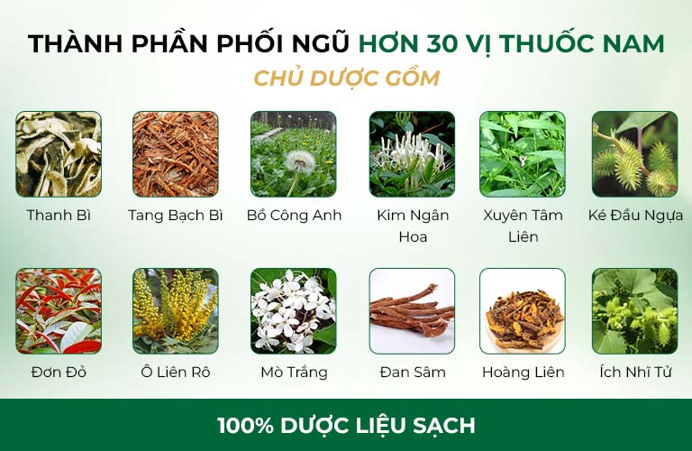 Thành phần bài thuốc Thanh bì Dưỡng can thang