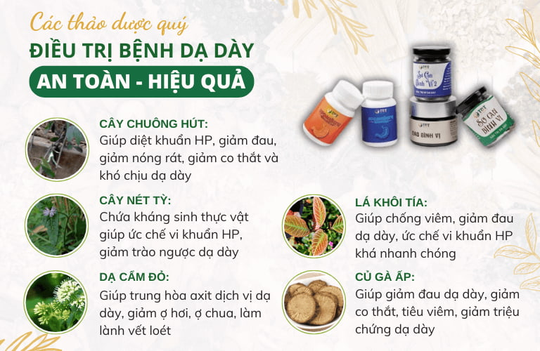 5 vị chủ dược quý trong bài thuốc 