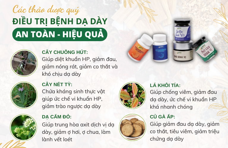 Công dụng các biệt dược quý của người Tày, người Dao