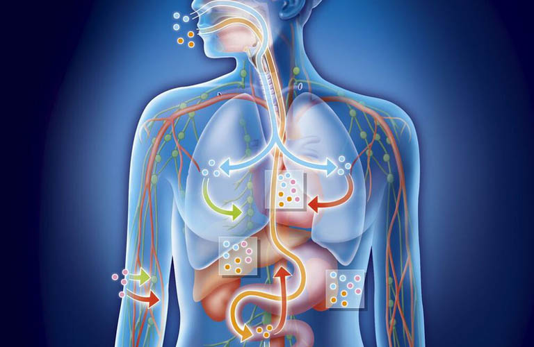 Triglyceride quá cao sẽ tàn phá cơ thể nghiêm trọng