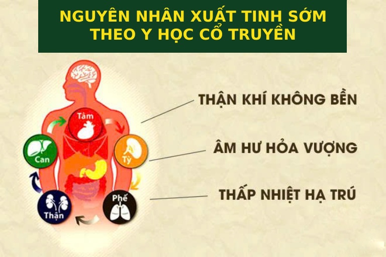 Nguyên nhân xuất tinh sớm theo y học cổ truyền