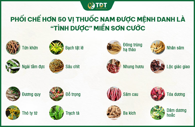 Bảng thành phần hơn 50 vị thuốc quý